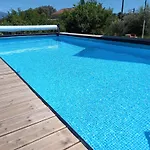 L'alivu * アジャクシオ