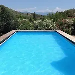 L'alivu Nyaraló *