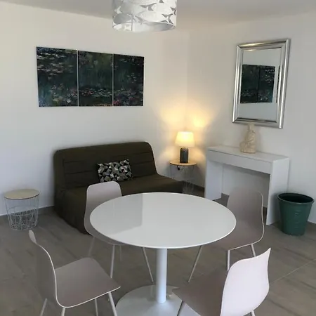 L'alivu Ajaccio (Corsica)