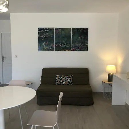 L'alivu Ajaccio (Corsica)