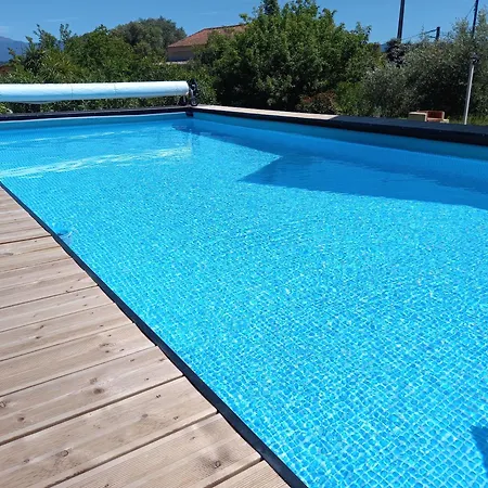 L'alivu * Ajaccio (Corsica)