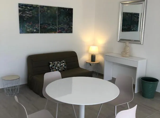 L'alivu Ajaccio (Corsica)