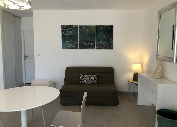 L'alivu Ajaccio (Corsica)